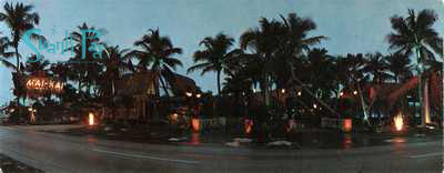 longpic longpic