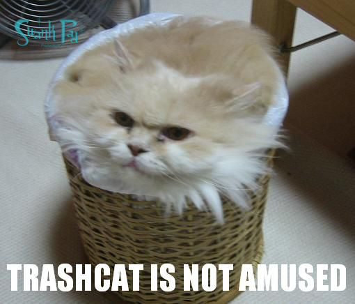 trash.jpg