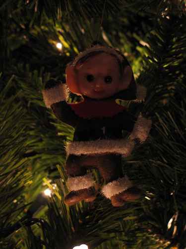Elf1